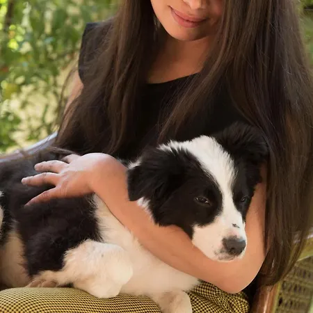 Pensionat La Dimora Dell'artista Perugia