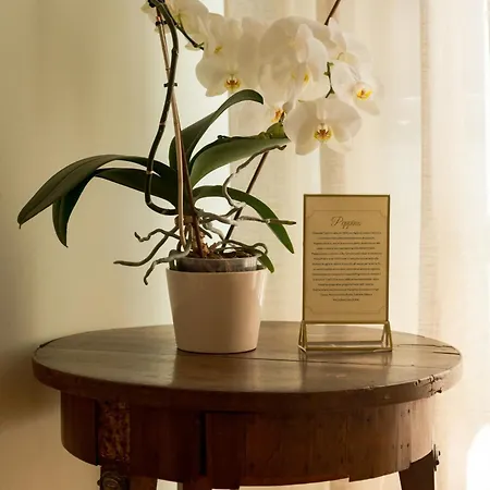 La Dimora Dell'artista Perugia