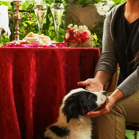 La Dimora Dell'artista