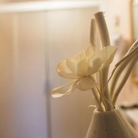 Pensión La Dimora Dell'artista