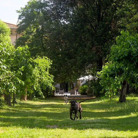 La Dimora Dell'artista Pensión Perugia