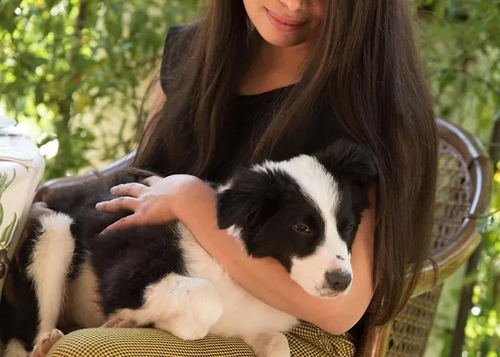 بيت ضيافة La Dimora Dell'artista بيرودجا