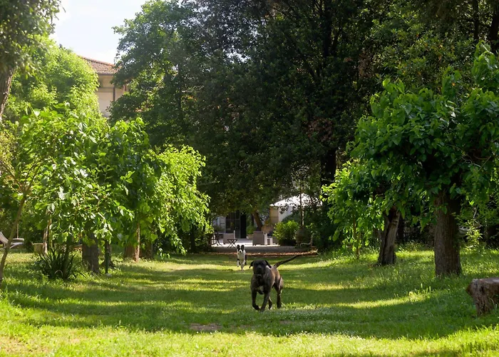 La Dimora Dell'artista Maison d'hôtes Pérouse