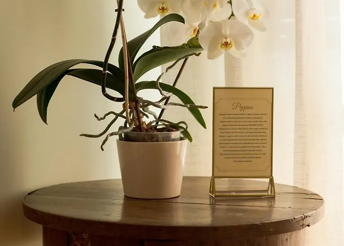 La Dimora Dell'artista Pérouse