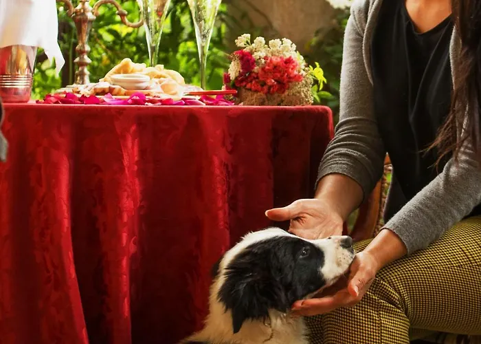 La Dimora Dell'artista